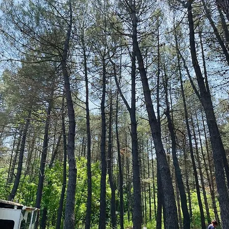 караваната на стела Campsite *